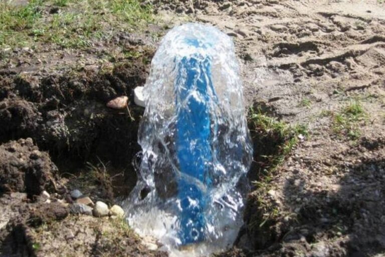 2026 02 13 grezinys 768x512