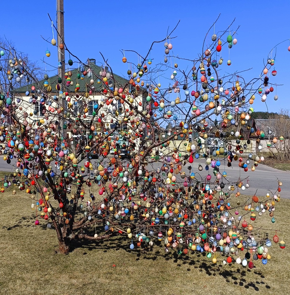 Velykų medis Tauragnuose